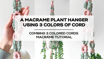 How to Craft a Macrame Plant Hanger Using 3 Distinct Colored Cords