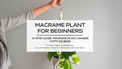 Easy-to-Follow 12-Step Macrame Plant Hanger for Beginners